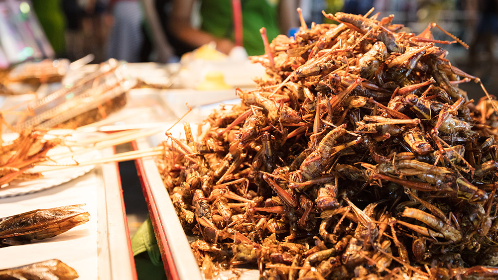 bangkok-street-food-insects